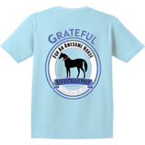 EP-201 Grateful for an Awesome Horse - Youth Short Sleeve Tee